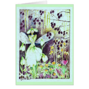 Snowdrop elve "Galanthus "