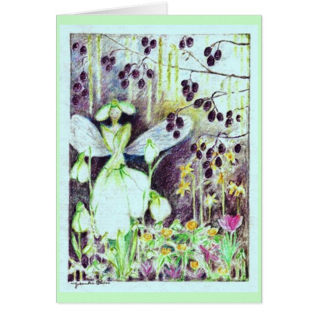 Snowdrop elve "Galanthus " (Vorne)