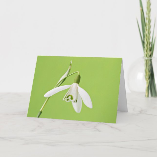 Snowdrop Karte (Vorderseite)