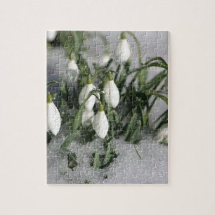 Snowdrop Puzzle