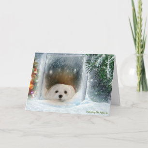 Snowdrop the Maltese Christmas Card Feiertagskarte