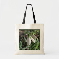 Snowdrop