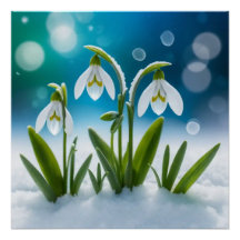 Snowdrops #2 Wall Art
