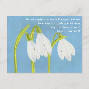 SnowDrops-Blume Postkarte