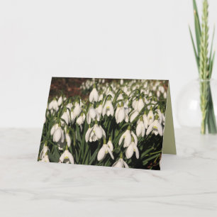 Snowdrops Card Karte