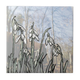Snowdrops Fliese