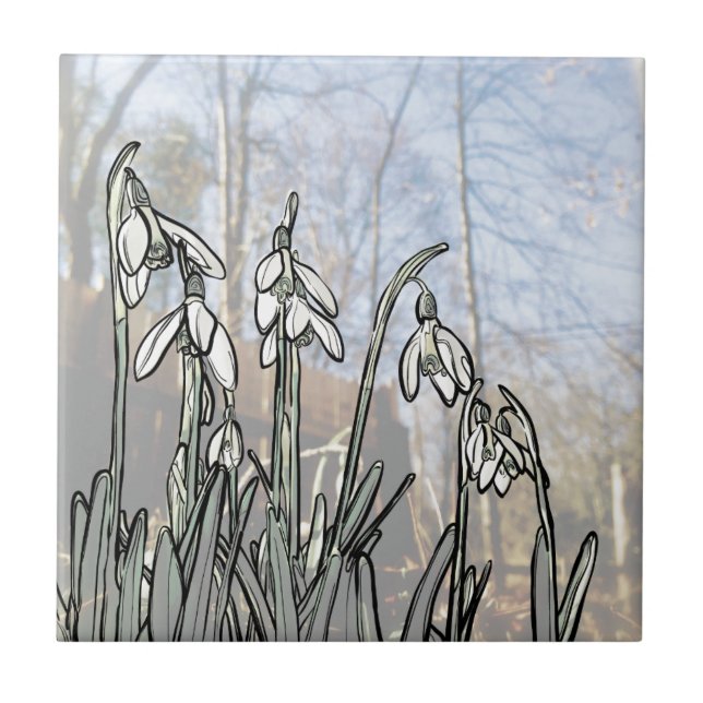 Snowdrops Fliese (Vorderseite)