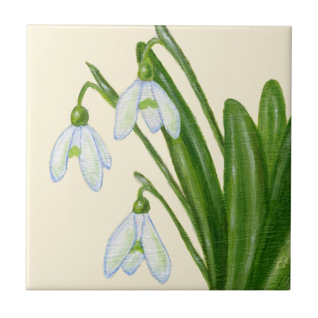 Snowdrops Fliese (Vorderseite)