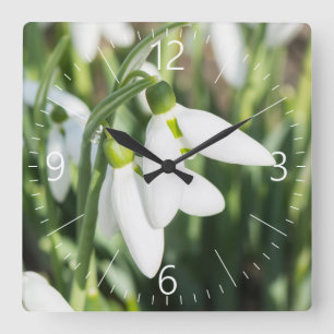 Snowdrops flowers quadratische wanduhr