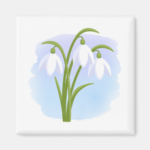 Snowdrops - Frühlings-Blumen auf Watercolor-Blau Magnet