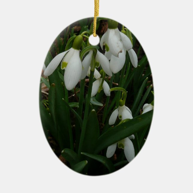 Snowdrops I (Galanthus) Weiße Frühlingsblumen Keramikornament (Vorne)