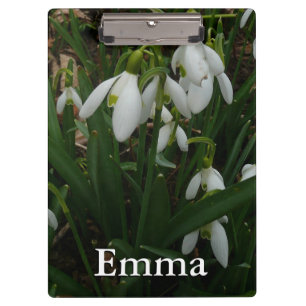 Snowdrops I (Galanthus) Weiße Frühlingsblumen Klemmbrett
