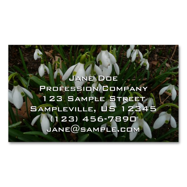 Snowdrops I (Galanthus) Weiße Frühlingsblumen Magnetische Visitenkarte (Vorderseite)