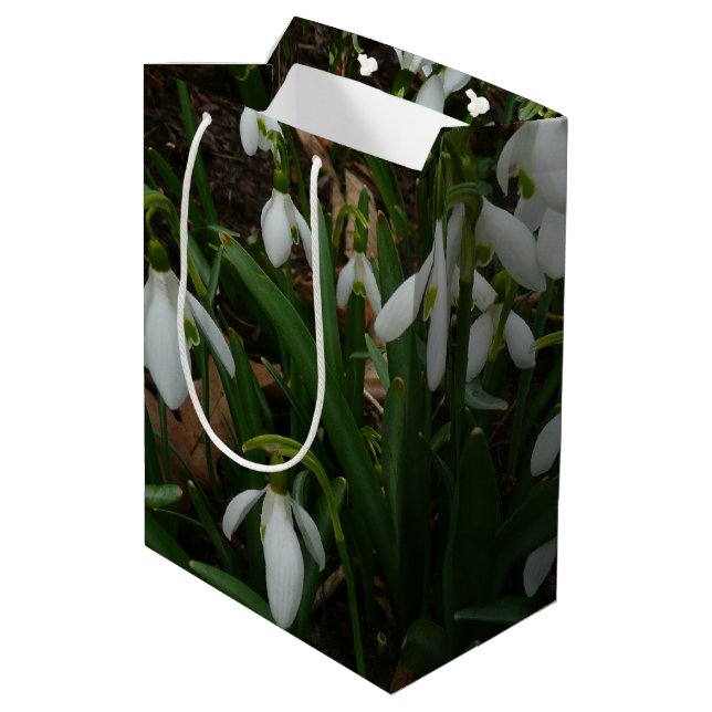 Snowdrops I (Galanthus) Weiße Frühlingsblumen Mittlere Geschenktüte (Rückseite Schrägansicht)