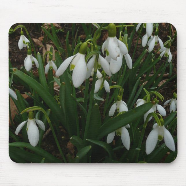 Snowdrops I (Galanthus) Weiße Frühlingsblumen Mousepad (Vorne)