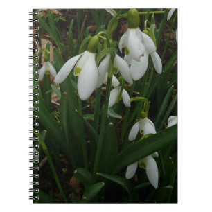 Snowdrops I (Galanthus) Weiße Frühlingsblumen Notizblock