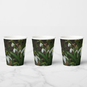Snowdrops I (Galanthus) Weiße Frühlingsblumen Pappbecher