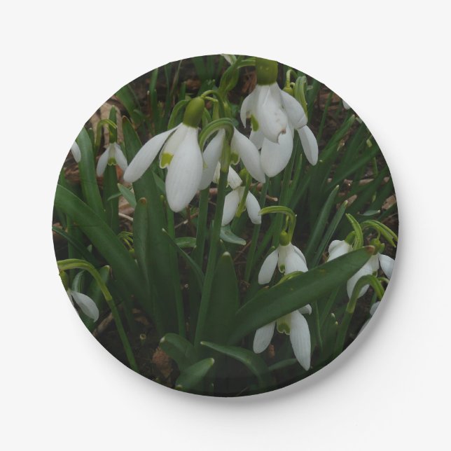 Snowdrops I (Galanthus) Weiße Frühlingsblumen Pappteller (Vorderseite)