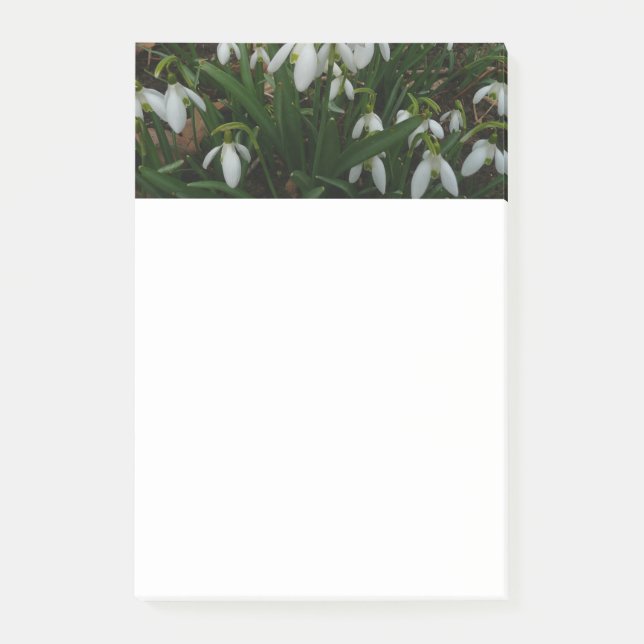 Snowdrops I (Galanthus) Weiße Frühlingsblumen Post-it Klebezettel (Vorderseite)