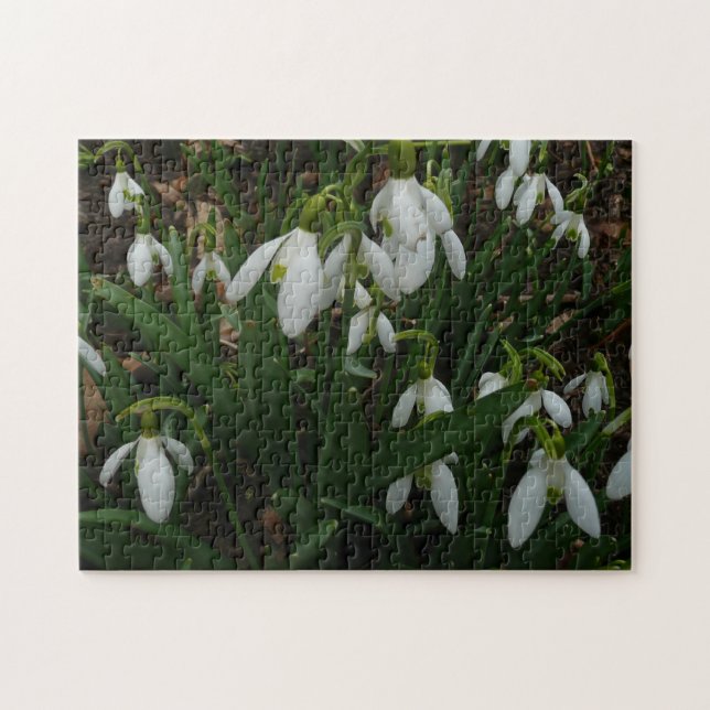 Snowdrops I (Galanthus) Weiße Frühlingsblumen Puzzle (Horizontal)