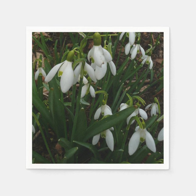 Snowdrops I (Galanthus) Weiße Frühlingsblumen Serviette (Vorderseite)