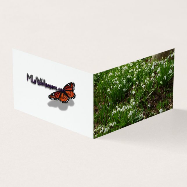 Snowdrops II (Galanthus) Frühlingsflora (Vorderseite)