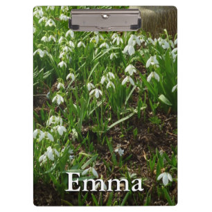 Snowdrops II (Galanthus) Frühlingsflora Klemmbrett
