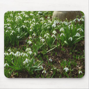 Snowdrops II (Galanthus) Frühlingsflora Mousepad