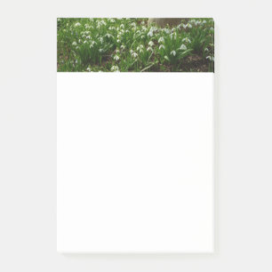 Snowdrops II (Galanthus) Frühlingsflora Post-it Klebezettel