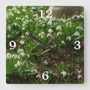 Snowdrops II (Galanthus) Frühlingsflora Quadratische Wanduhr