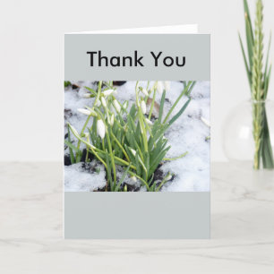 Snowdrops im Schnee danken Ihnen zu kardieren Dankeskarte