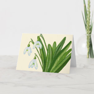 Snowdrops Karte