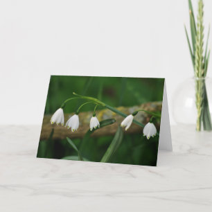 Snowdrops Karte