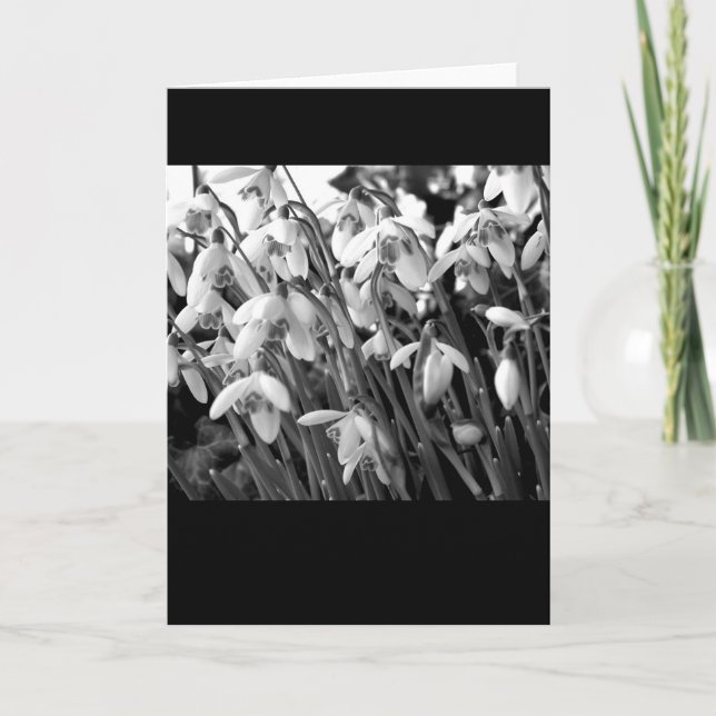 Snowdrops Karte (Vorderseite)