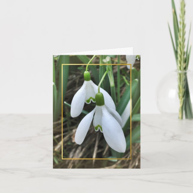 Snowdrops mit Goldgrenze Feiertagskarte (Vorderseite)