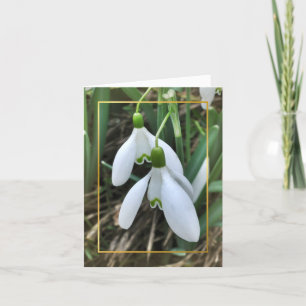 Snowdrops mit Goldgrenze Feiertagskarte