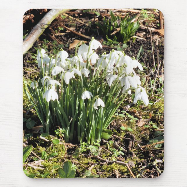 SNOWDROPS MOUSEPAD (Vorne)