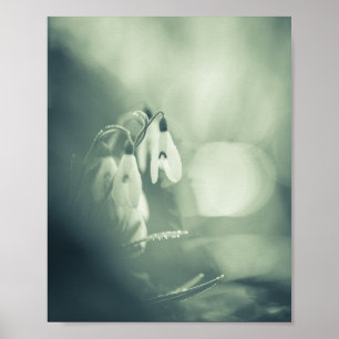 Snowdrops Nature Foto Poster
