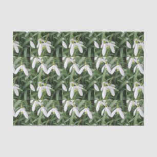 Snowdrops Seidenpapier
