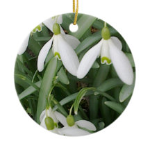 Snowdrops Verzierung