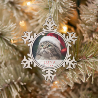 Snowflake Cat Lover Photo Ornament – Silver Metal