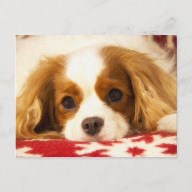 Snowflake Cavalier King Charles Spaniel Post Card Postkarte (Vorderseite)