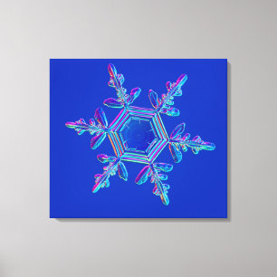Snowflake Crystal 4 Leinwanddruck