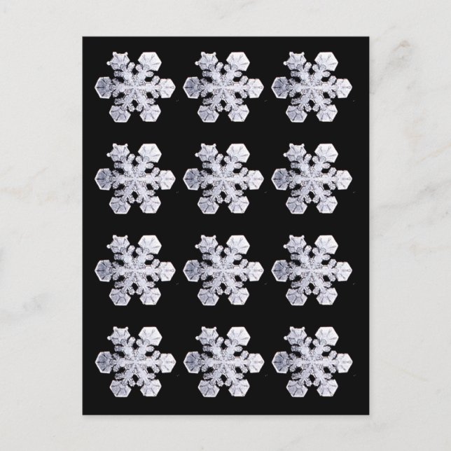 Snowflake Crystal Fotos Postkarte (Vorderseite)