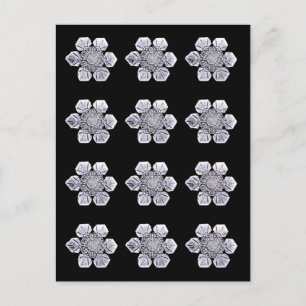 Snowflake Crystal Fotos Postkarte