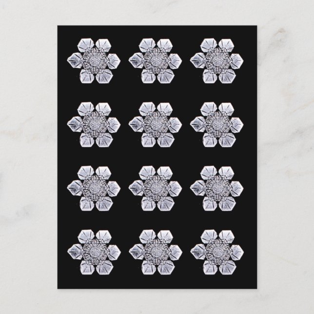 Snowflake Crystal Fotos Postkarte (Vorderseite)