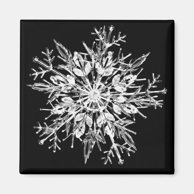 Snowflake Crystal Magnet (Vorne)