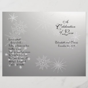 Snowflake Gemis Silver Programm