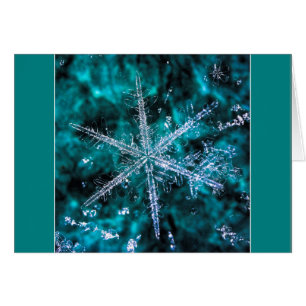 Snowflake Macro Foto Ihre eigene Textkarte hinzufü