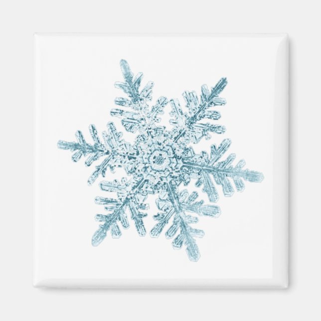Snowflake Magnet (Vorne)